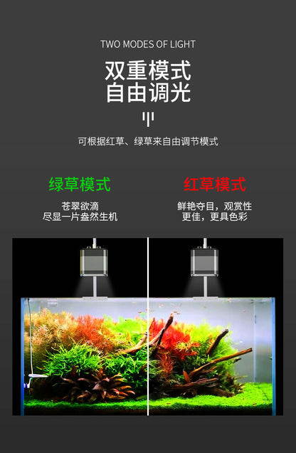 水草燈/造景射燈/筒燈