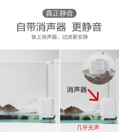 低水位烏龜過濾器