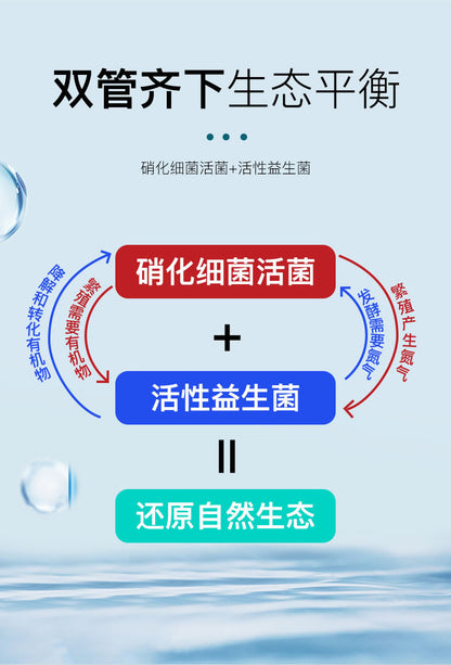 魚缸淨水劑硝化菌