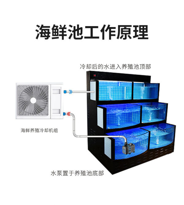 CTP 系列高揚程水泵：圖片 5