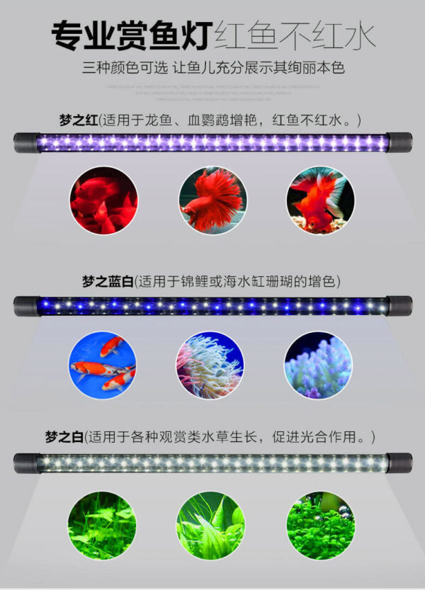 夢之紅燈管 (適用於龍魚、血增豔)：圖片 31