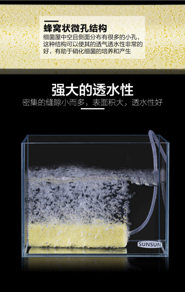 細菌屋：圖片 7