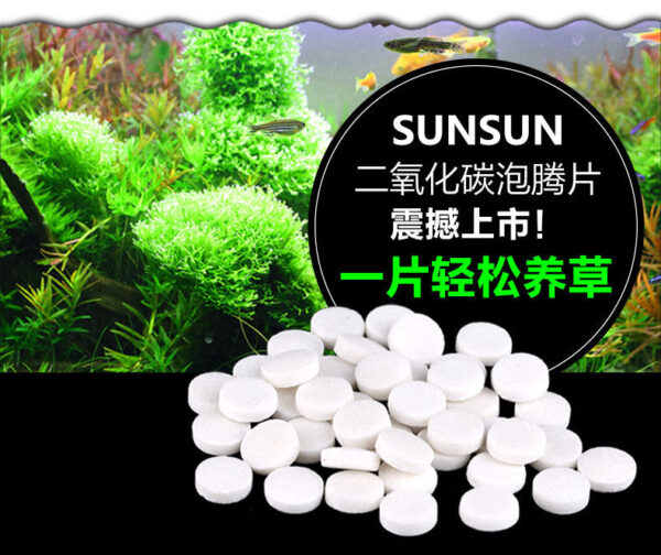 二氧化碳泡騰片：圖片 4