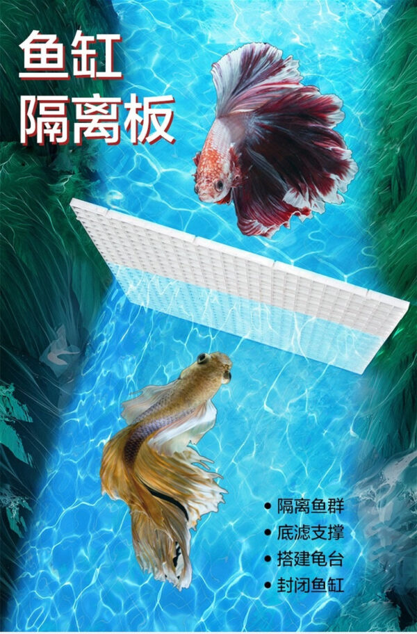 魚缸隔離板/防跳網/網格托架/底濾板：圖片 7