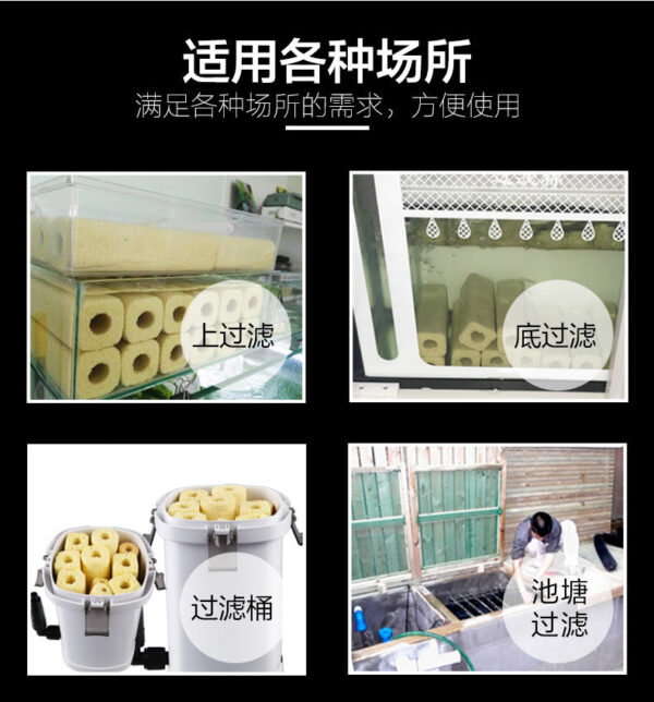 細菌屋：圖片 9