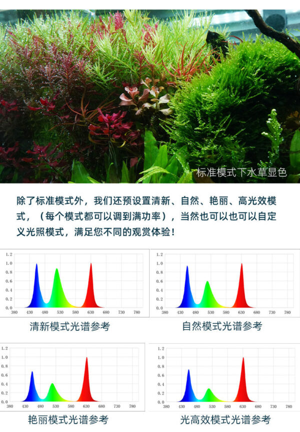 魔點B二代純RGB版水族燈：圖片 13