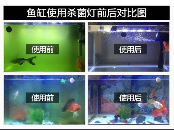 潛水紫外線殺菌燈 / 定時控制版：圖片 22