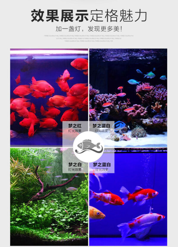 夢之紅燈管 (適用於龍魚、血增豔)：圖片 38