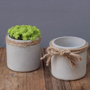 創意迷你水泥花盆 Mini Flower Pot