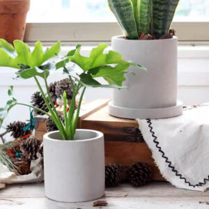 圓柱形透氣水泥多肉盆 Cylindrical Cement Pot