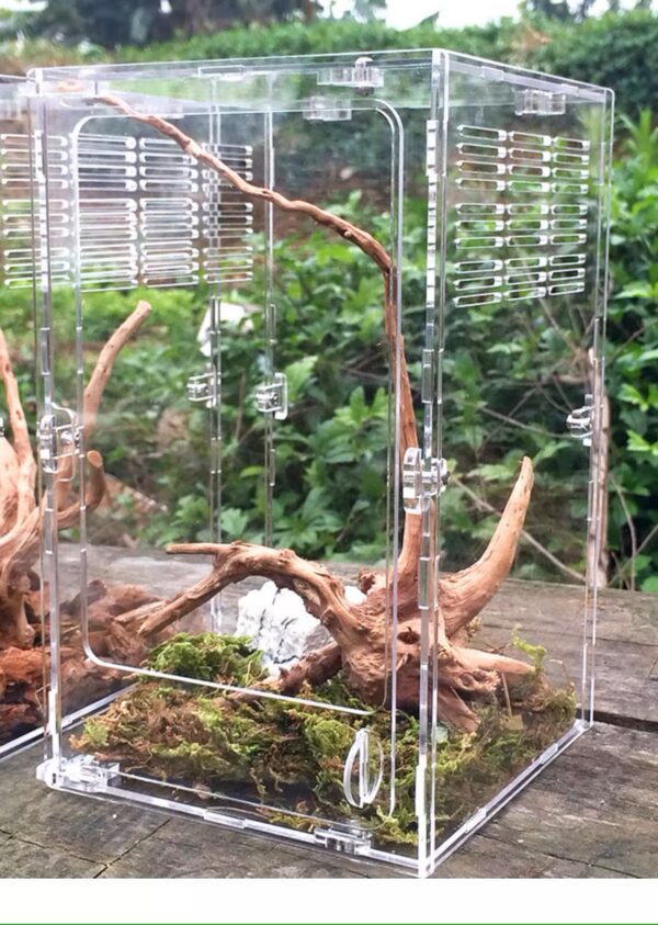 亞克力爬蟲箱/爬寵盒 Insect & Reptile Enclosure Cage Terrarium (15x15x25cm)：圖片 2
