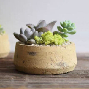 日式復古粗陶矮花盆 Retro Crude Pottery Bonsai Pot