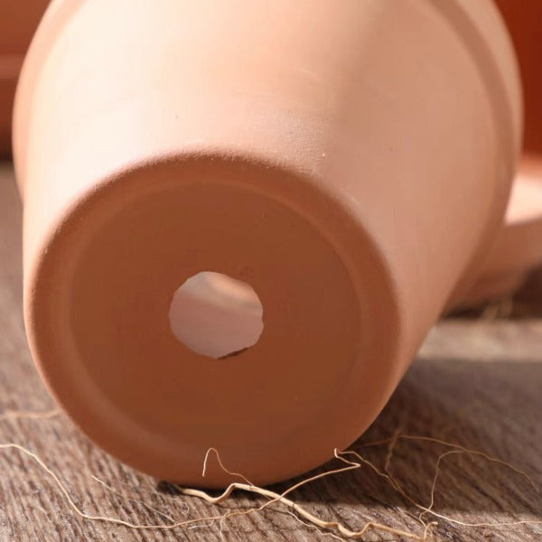 簡約透氣紅陶花盆 Terracotta flower pot:圖片 3