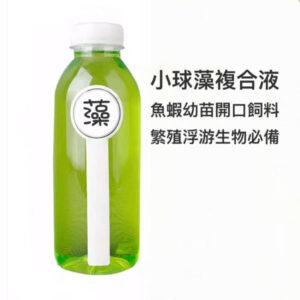 小球藻/綠水 Chlorella vulgaris