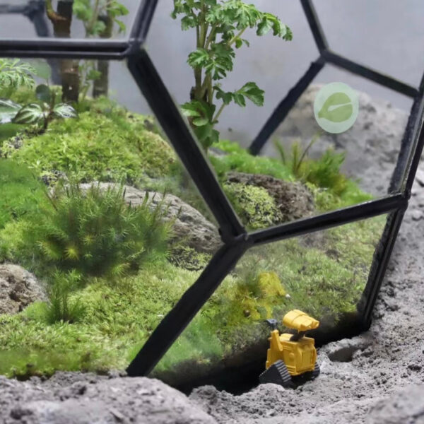 幾何玻璃植物箱 Geometric glass Terrarium：圖片 2