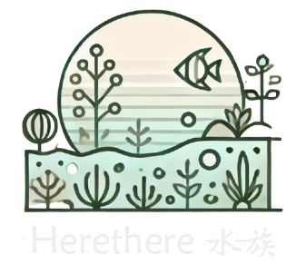 © 2024, Herethere 水族