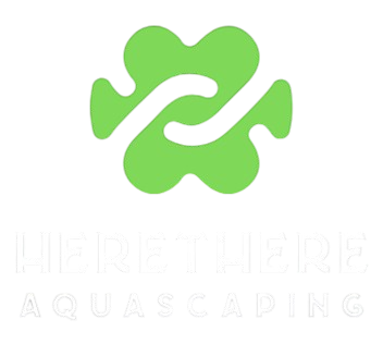 Herethere Aquascaping