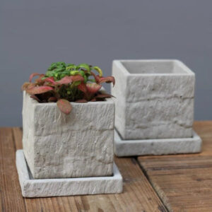 仿石紋復古水泥花盆 Vintage Flower Pot
