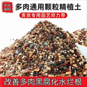 多肉種植專用基質|乾爽透氣 唔焗根 Succulent Planting Soil – Well-Drained & Airy