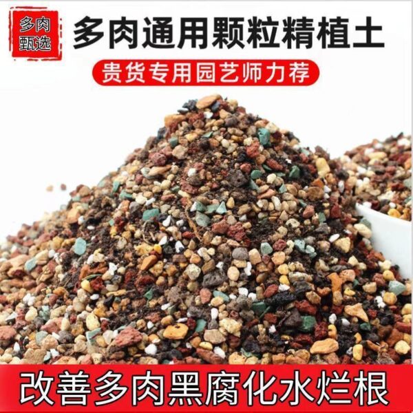 多肉種植專用基質｜乾爽透氣 唔焗根 Succulent Planting Soil – Well-Drained & Airy