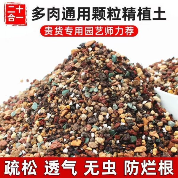多肉種植專用基質｜乾爽透氣 唔焗根 Succulent Planting Soil – Well-Drained & Airy：圖片 3
