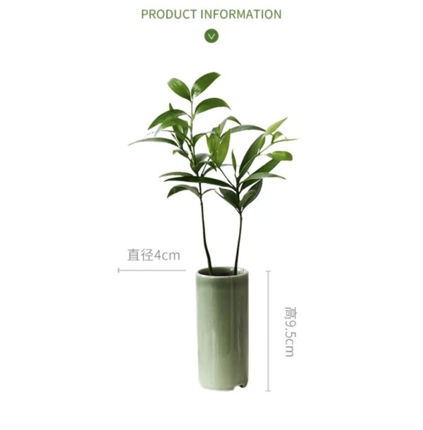 竹柏｜迷你陶瓷筒瓶植栽  Green Podocarpus｜Minimal Ceramic Vase：圖片 2