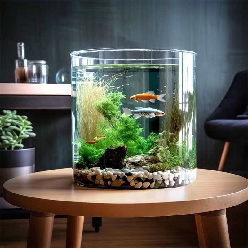 圓柱全景魚缸Cylinder Panorama Aquarium