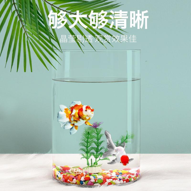 圓柱全景魚缸Cylinder Panorama Aquarium