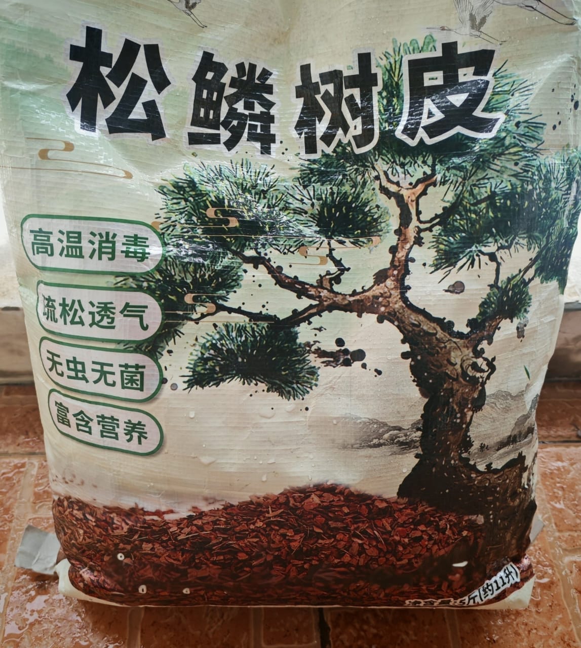 發酵松鱗樹皮 蘭花植料：圖片 2