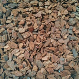 發酵松鱗樹皮 蘭花植料