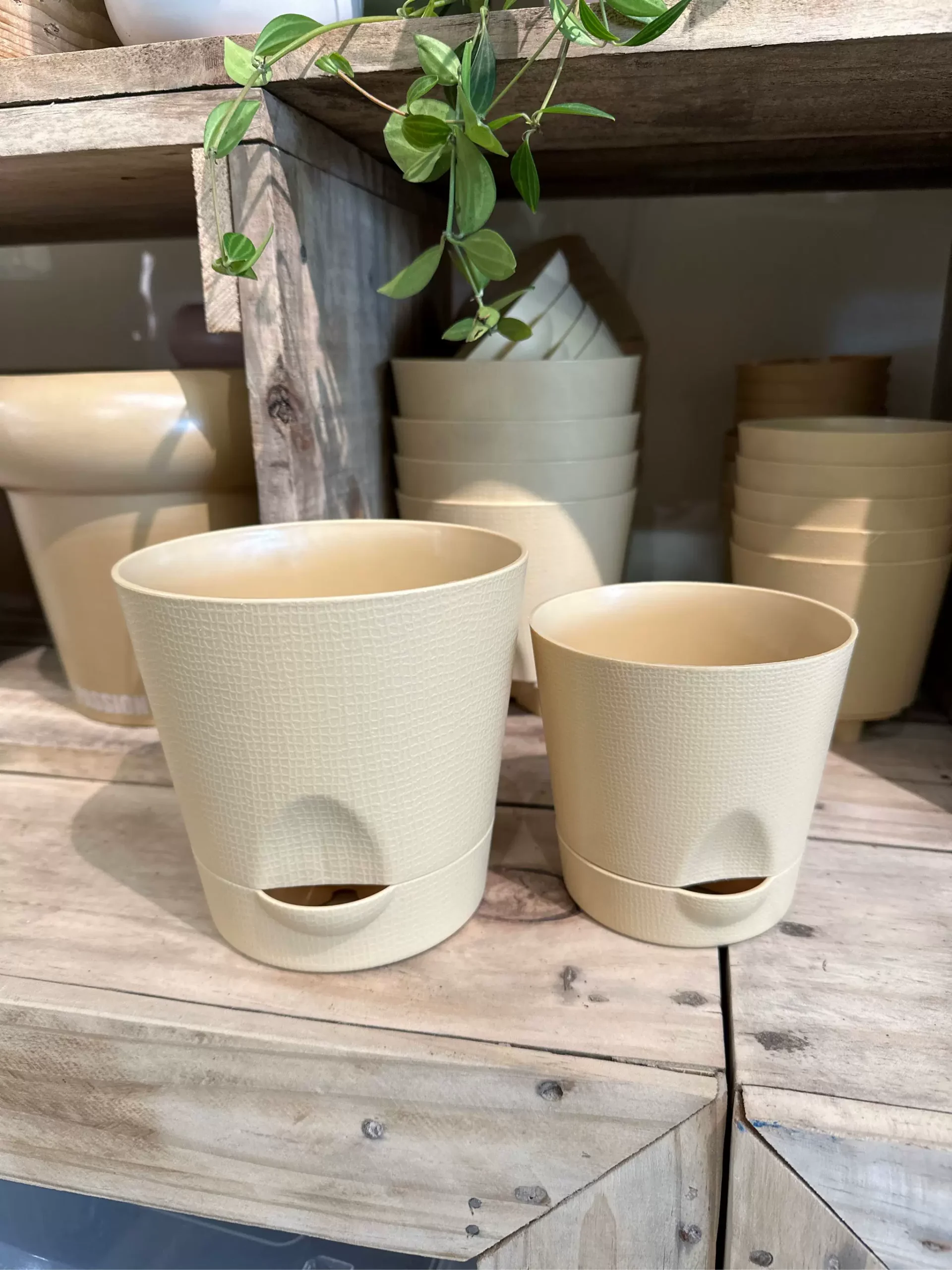 雙層控水儲水花盆 PP 樹脂(Double-Layer Water Control & Storage Pot):圖片 3